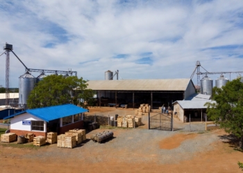 Cooperativa de produtores inaugura agroindústria e gera 80 empregos